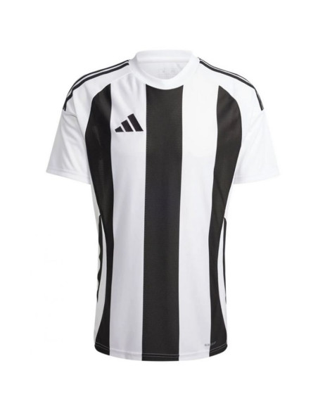 Koszulka adidas striped 24 jsy m