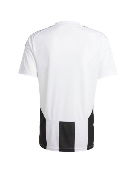 Koszulka adidas striped 24 jsy m