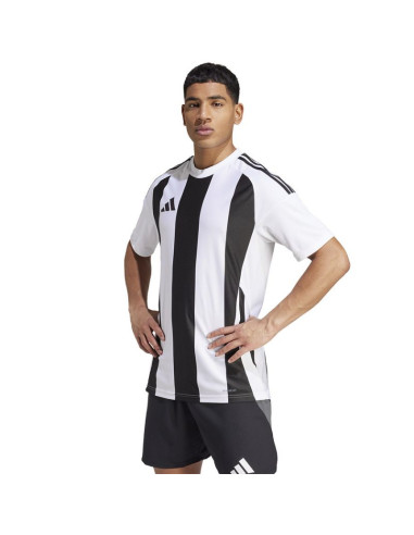 Koszulka adidas striped 24 jsy m