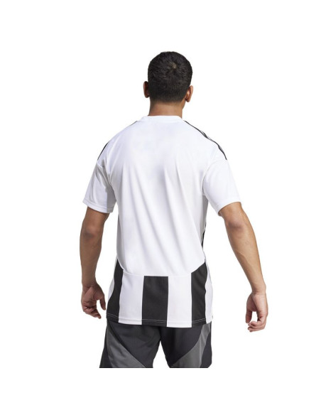 Koszulka adidas striped 24 jsy m