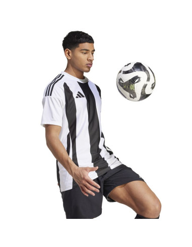 Koszulka adidas striped 24 jsy m