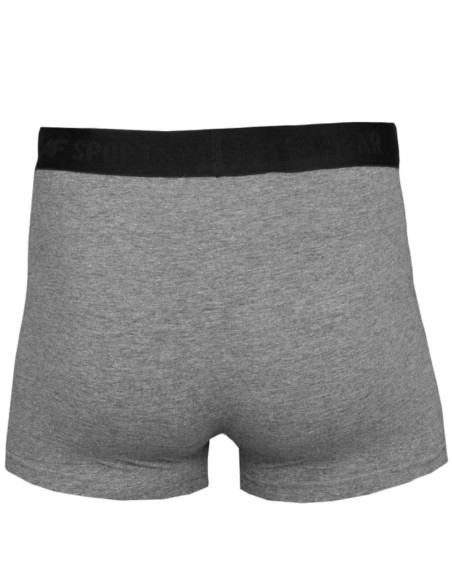 Bokserki 4f men's briefs m h4l22-bim350