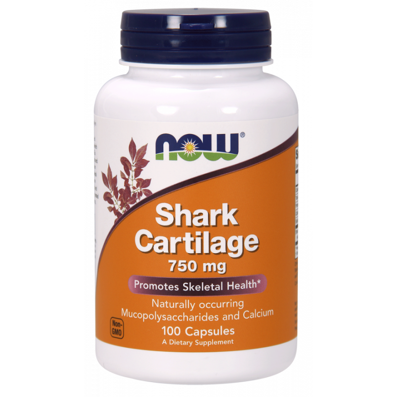 Shark Cartilage - Chrząstka rekina (100 kaps.)