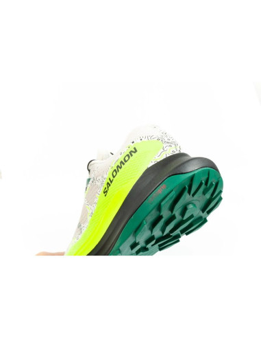 Buty do biegania salomon ultra glide