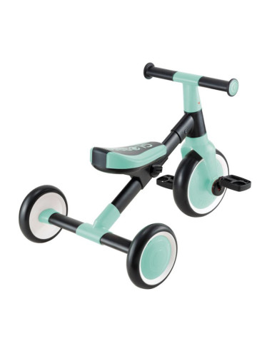 Rowerek learning trike 2w1 (735-206)