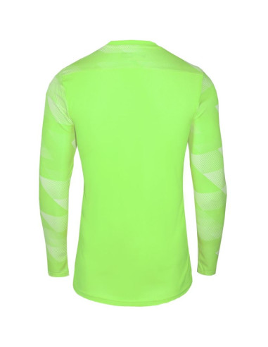 Koszulka nike dry park iv jsy ls gk jr cj6072