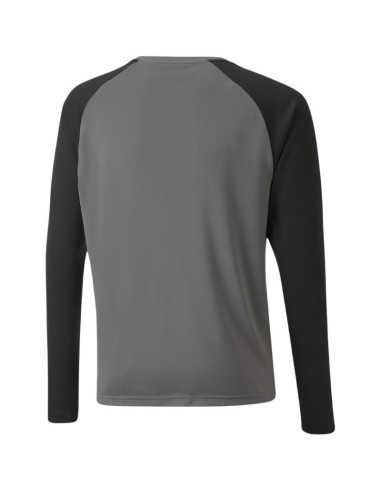 Bluza bramkarska puma teampacer gk ls jersey jr 704939