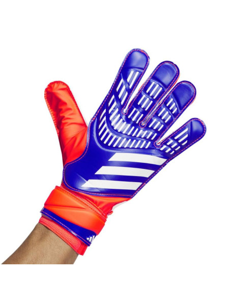 Rękawice bramkarskie adidas predator training