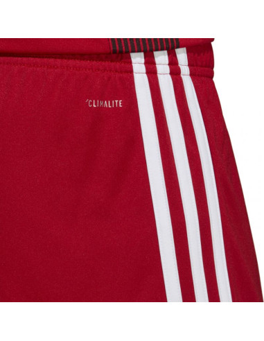 Spodenki adidas tastigo 19 shorts m