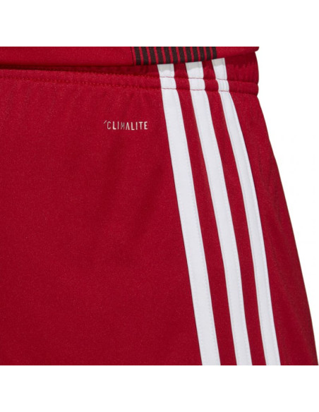 Spodenki adidas tastigo 19 shorts m