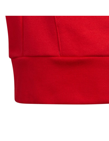 Bluza adidas colorblock fleece hoodie jr