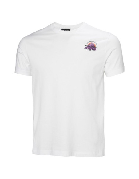 Koszulka helly hansen core graphic t 2.0 m 54599