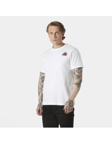 Koszulka helly hansen core graphic t 2.0 m 54599