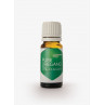 Pure Oregano Oil (20 ml)