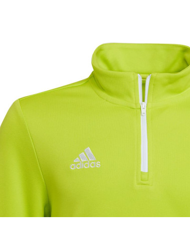 Bluza adidas entrada 22 training top jr