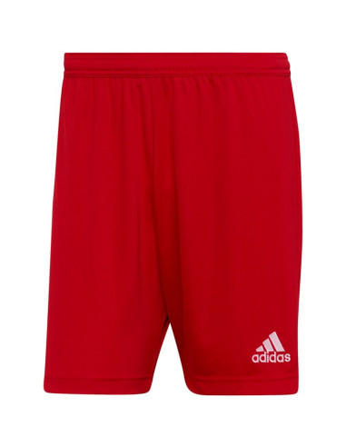Spodenki adidas entrada 22 m