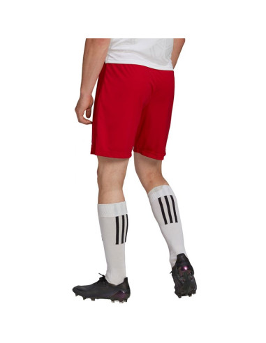 Spodenki adidas entrada 22 m