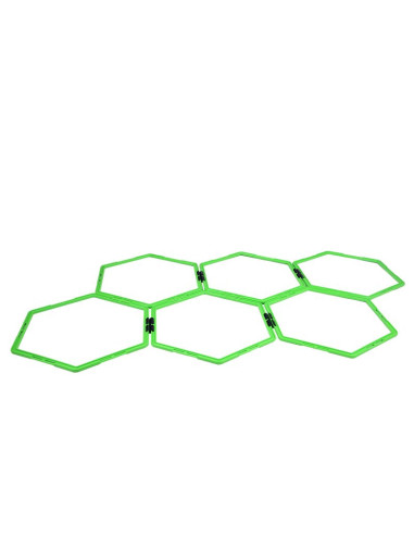 Siatka koordynacyjna hms skr06