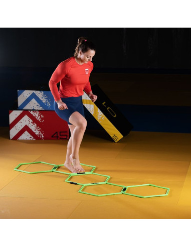 Siatka koordynacyjna hms skr06