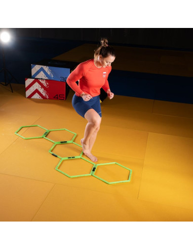 Siatka koordynacyjna hms skr06