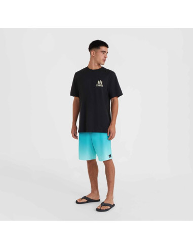 Koszulka o'neill beach graphic t-shirt m
