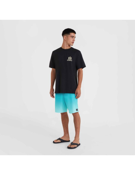 Koszulka o'neill beach graphic t-shirt m
