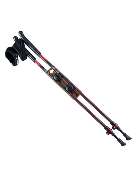 Kije nordic walking hi-tec eclipsis