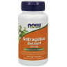 Astragalus Extract - Traganek 500 mg (90 kaps.)