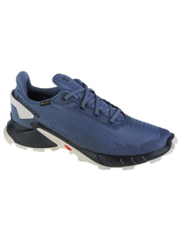 Buty do biegania salomon alphacross 4 gtx m