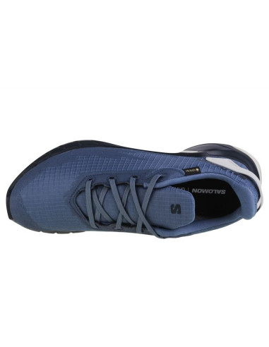 Buty do biegania salomon alphacross 4 gtx m