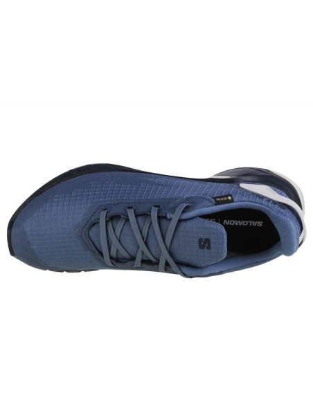 Buty do biegania salomon alphacross 4 gtx m