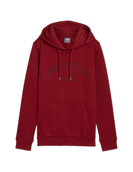 Bluza puma ess+ logo lab hoodie fl w 682987