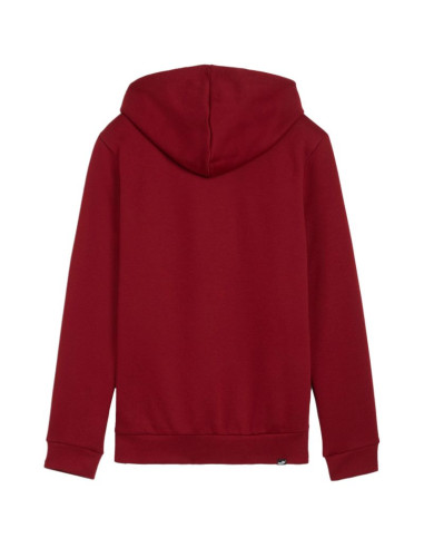 Bluza puma ess+ logo lab hoodie fl w 682987