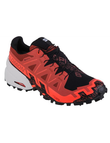 Buty do biegania salomon spikecross 6 gtx m