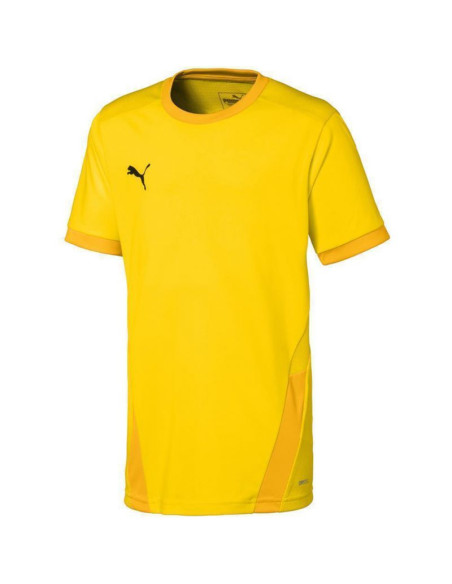Koszulka puma teamgoal 23 jersey jr 704160