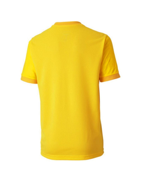 Koszulka puma teamgoal 23 jersey jr 704160