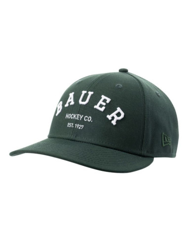 Czapka z daszkiem bauer ne low profile 9fifty sr