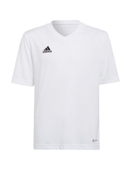 Koszulka adidas entrada 22 jsy jr