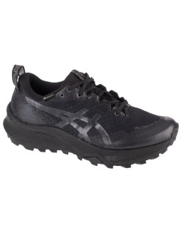 Buty do biegania Asics Gel-Trabuco 12 GTX W 1012B607