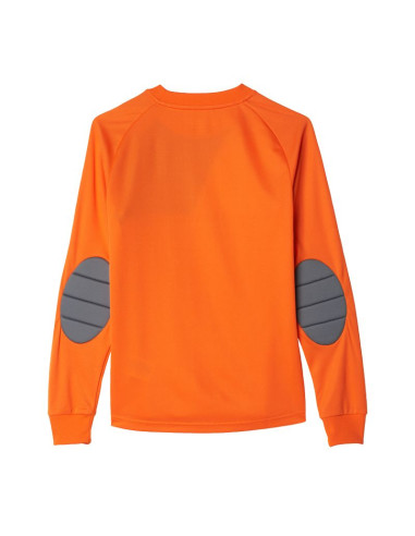 Bluza adidas assita 17 jr az5402