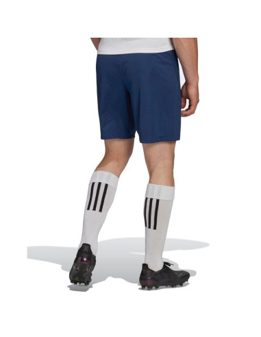 Spodenki adidas entrada 22 m