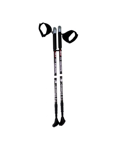 Kije nordic walking nils extreme nw608