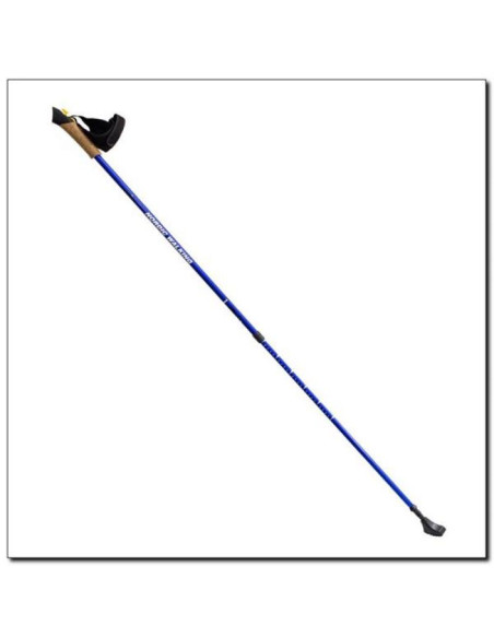 Kije nordic walking nils extreme nw607