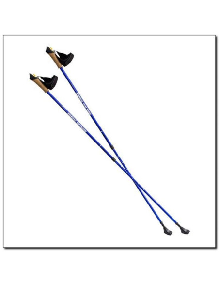 Kije nordic walking nils extreme nw607