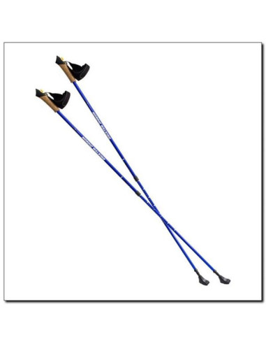 Kije nordic walking nils extreme nw607