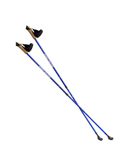 Kije nordic walking nils extreme nw607
