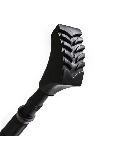 Kije nordic walking nils extreme nw607