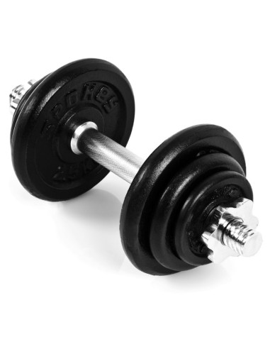 Hantle 21kg spokey egir