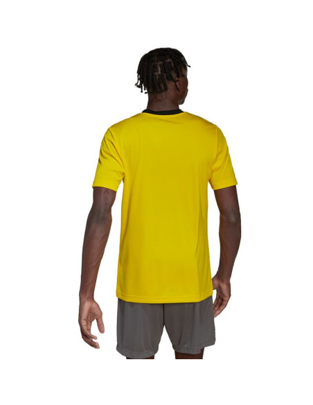 Koszulka adidas entrada 22 m