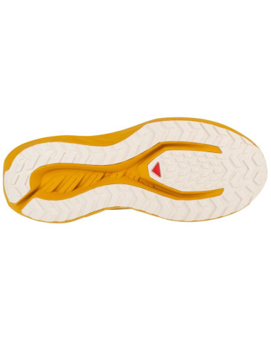 Buty do biegania salomon drx defy grvl m